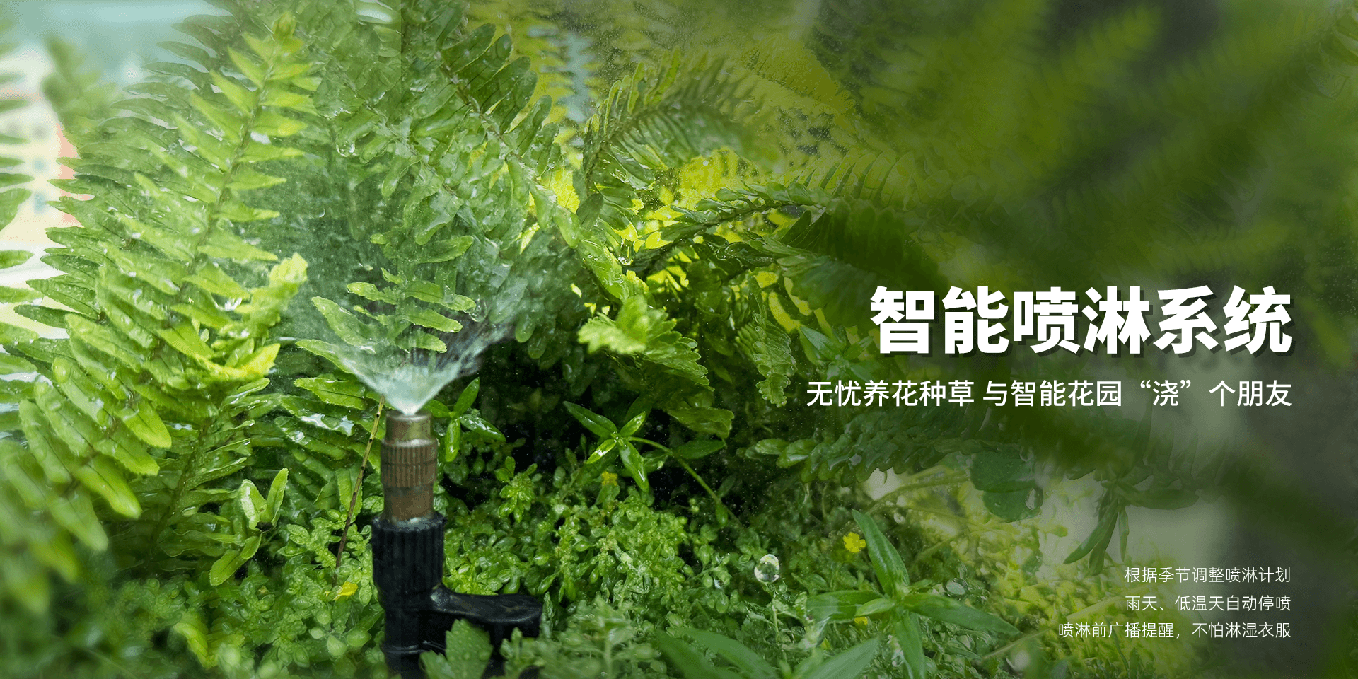 CMS,免费CMS,免费开源Java CMS,CMS系统,Java CMS,CMS内容管理系统,企业CMS,HTML网页模板,CMS模板,CMS源码,网站源码,信创系统软件,安可系统,网站建设,模板网站,建站模板,建站工具,建站平台,建站工具