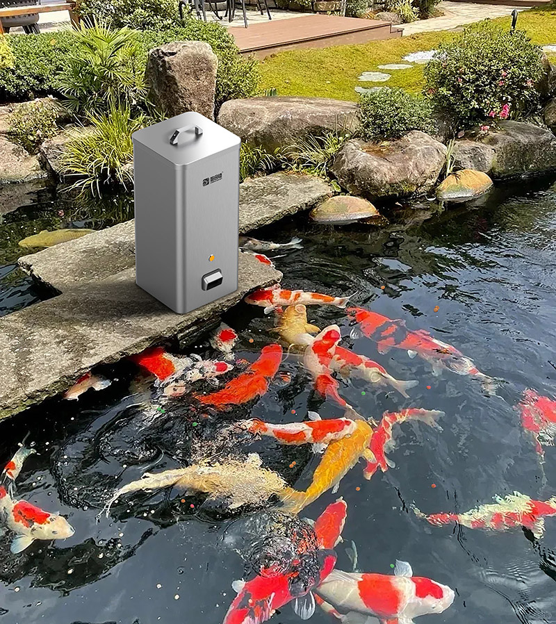 1758591771347.jpg 喂鱼.jpg